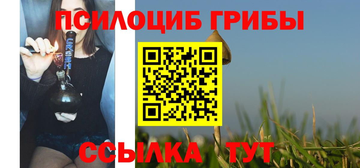 Псилоцибиновые грибы Psilocybine cubensis  Галлюциногенные грибы Psilocybe  Вход с VPN  Киреевск 